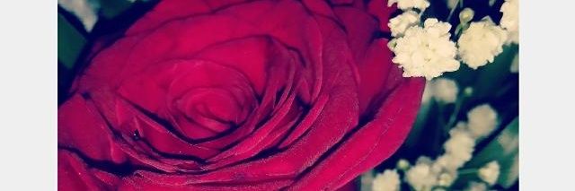 arwa_AHK's profile banner image