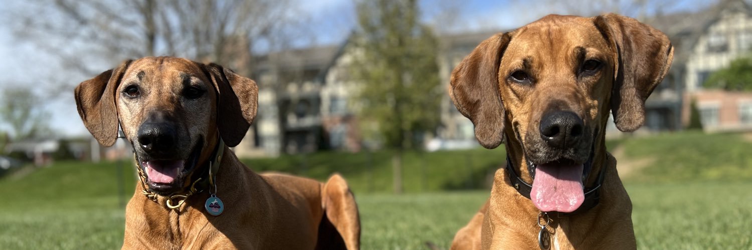 jcjester28's profile banner image