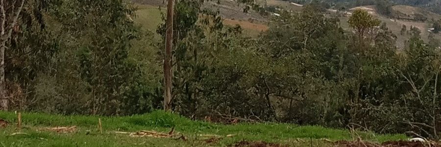 Pablo Lescano banner