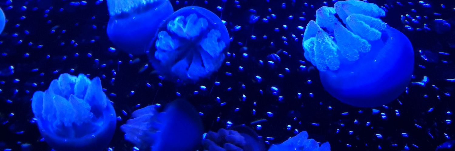 JaureguiLily's profile banner image