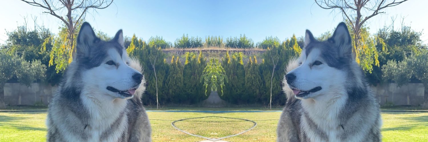 ILatorreforcada's profile banner image