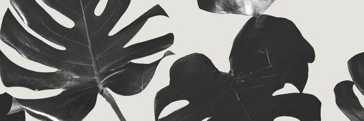 memitayeye's profile banner image