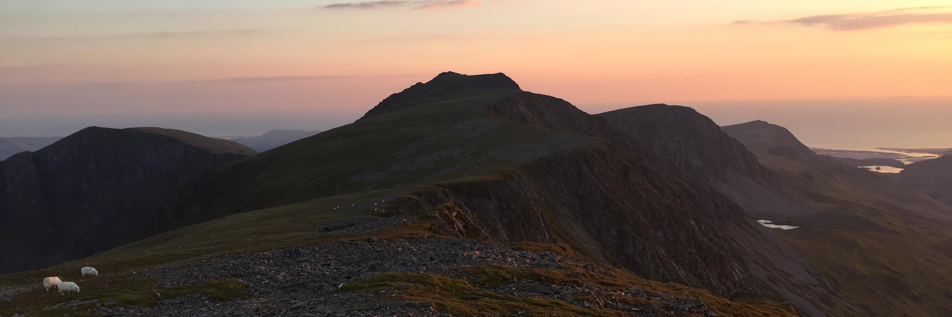 James van Oppen banner