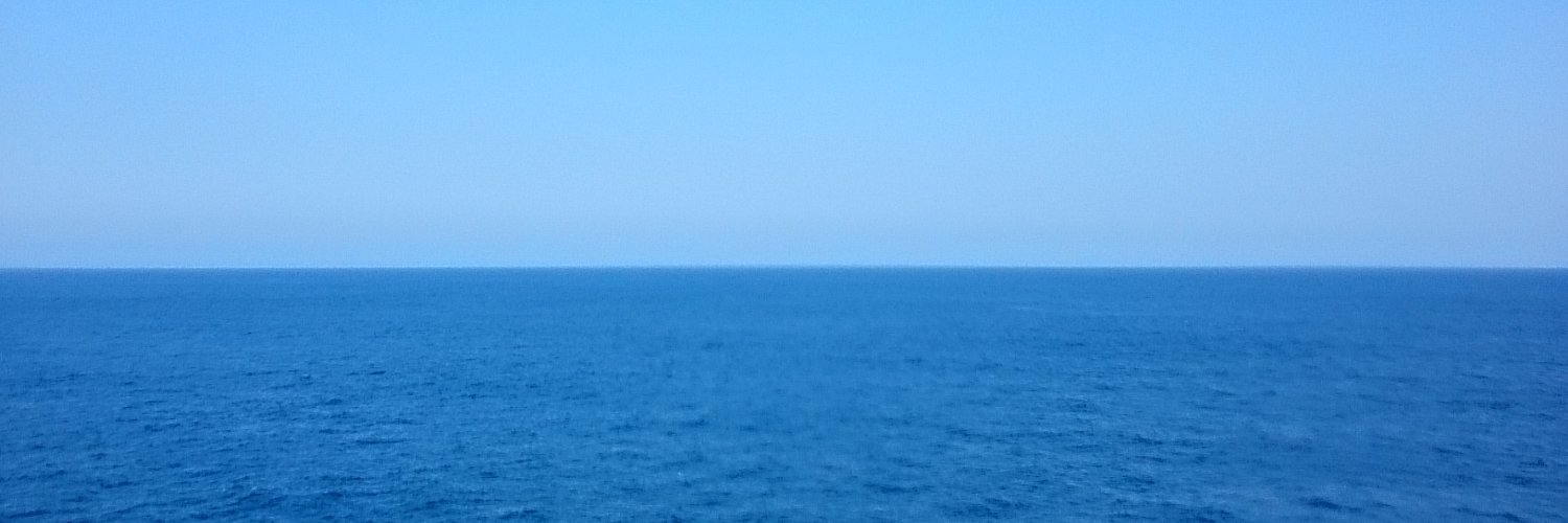 tamarira's profile banner image