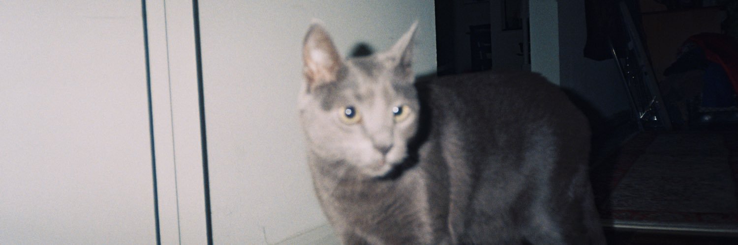 DMGoldChunks's profile banner image