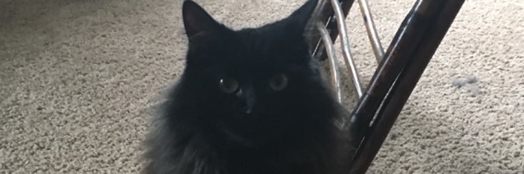 RexRobertRyan's profile banner image