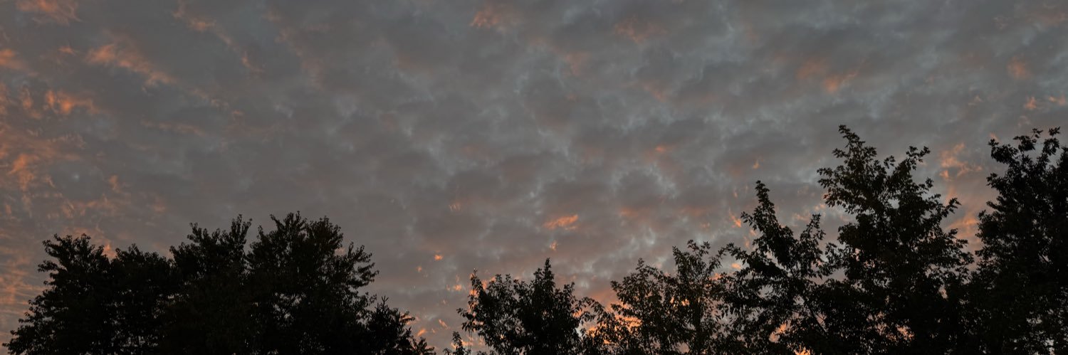 kung fu kathy ♍︎ banner