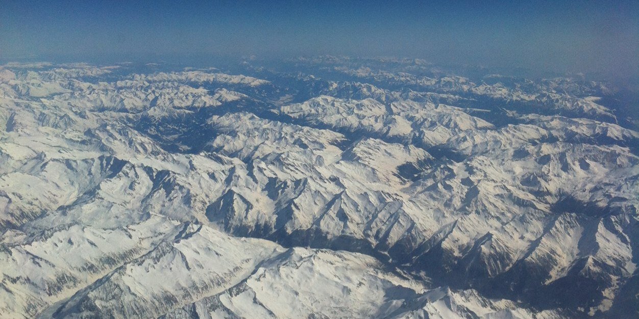 Rossella Terreni banner