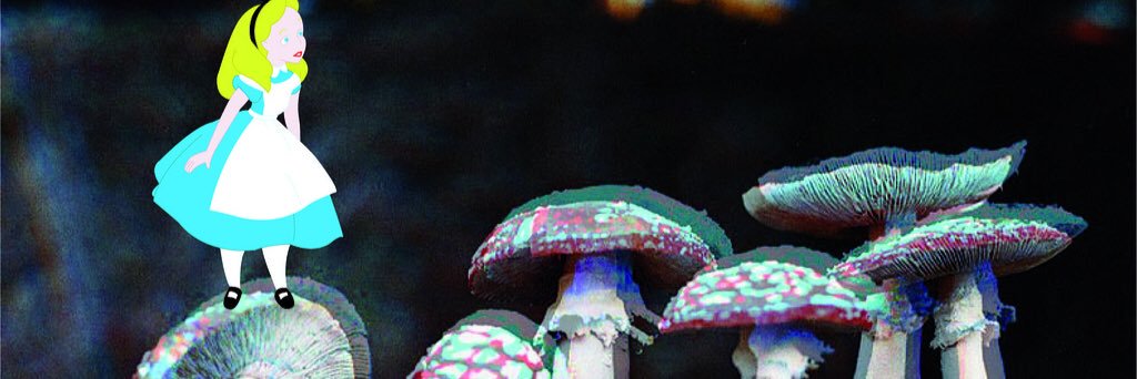 JoslynKeys's profile banner image