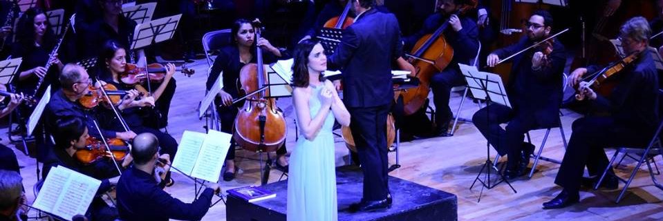 LauraSheerin's profile banner image