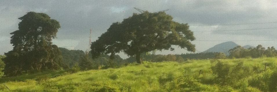 dieego_jo's profile banner image