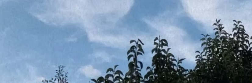 julisiarri's profile banner image