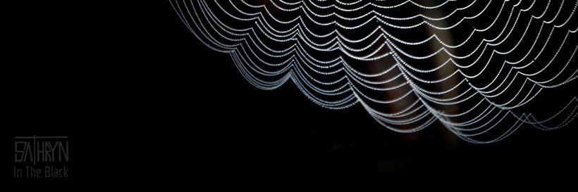 Specterpoet's profile banner image