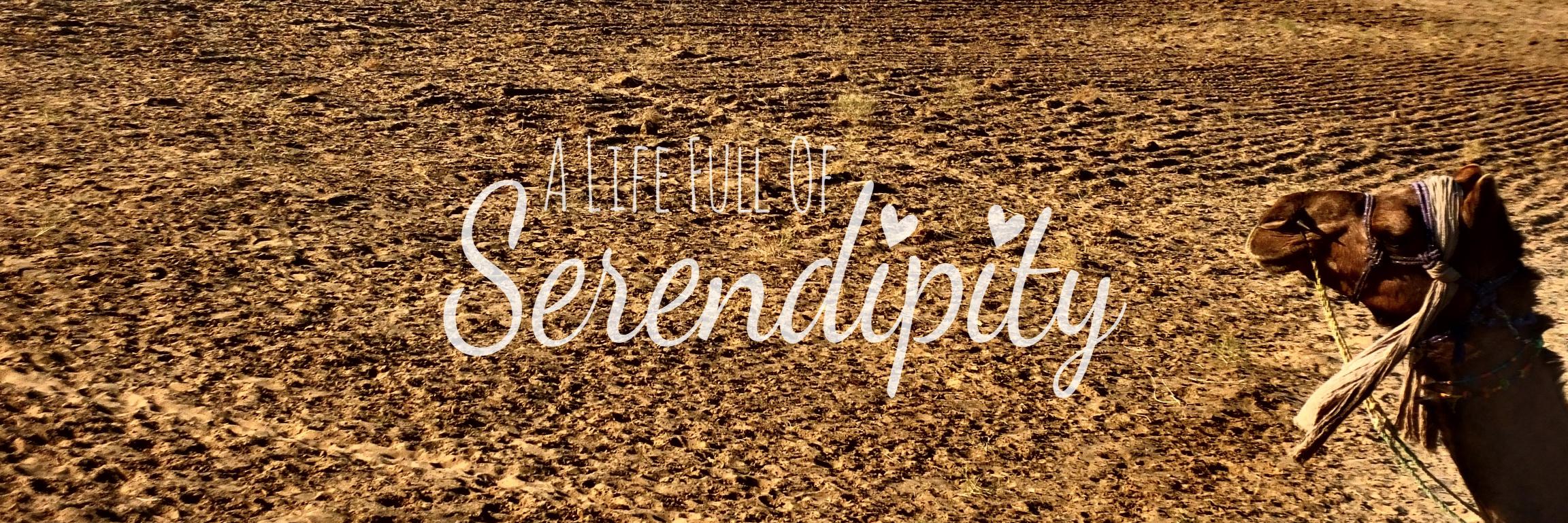serendipitytess's profile banner image