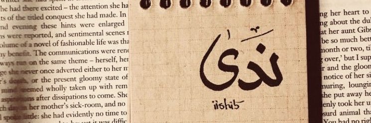 NdNasser's profile banner image