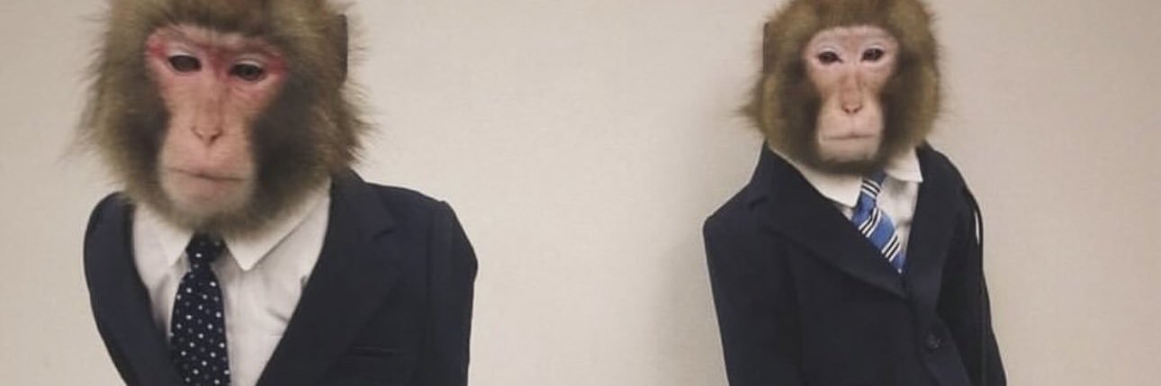 tacobellcare's profile banner image
