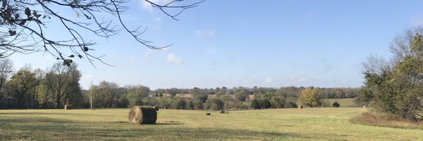 CJoyEberle Profile Banner