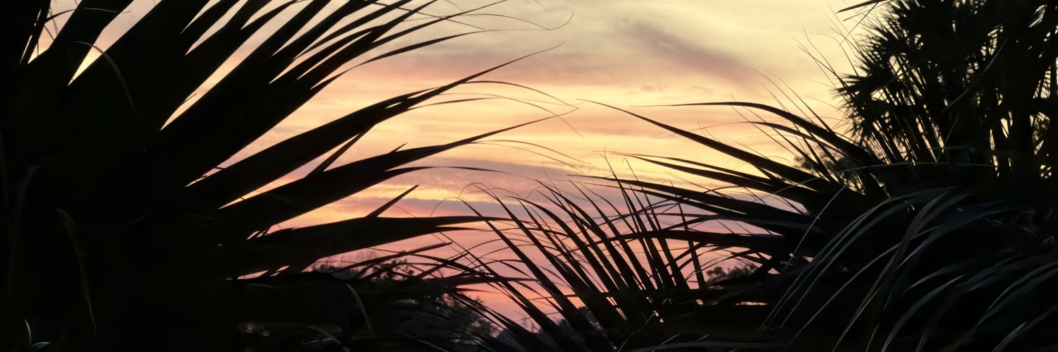 pscmason's profile banner image