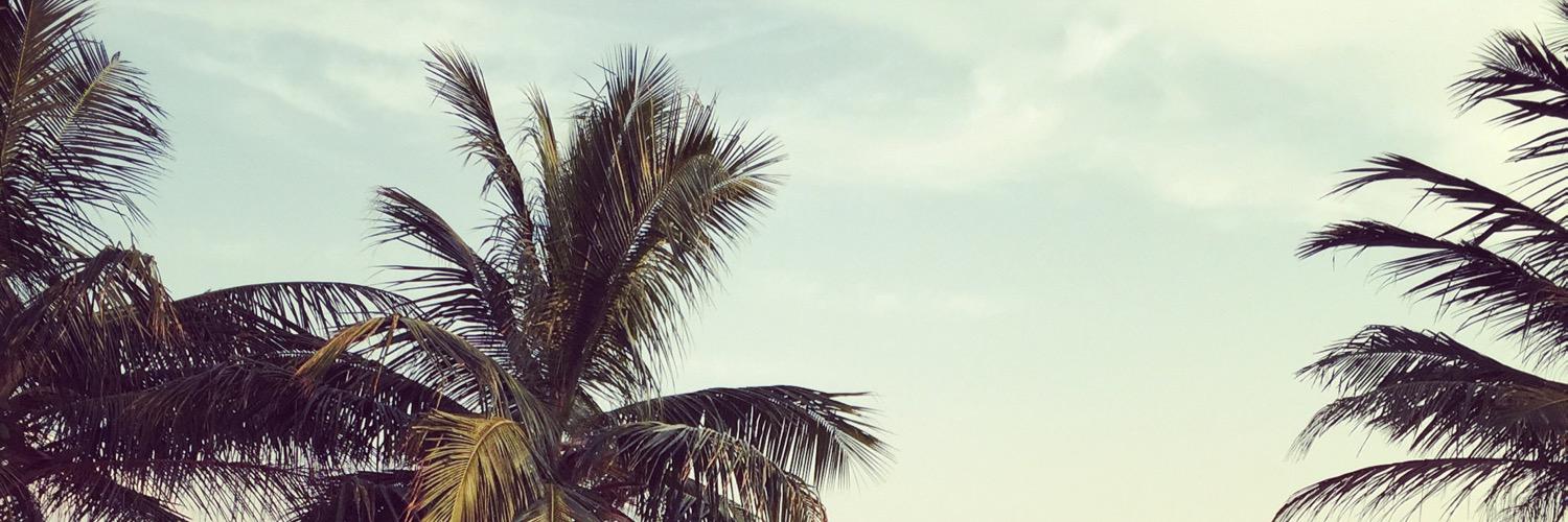 مسفر الحارثي banner