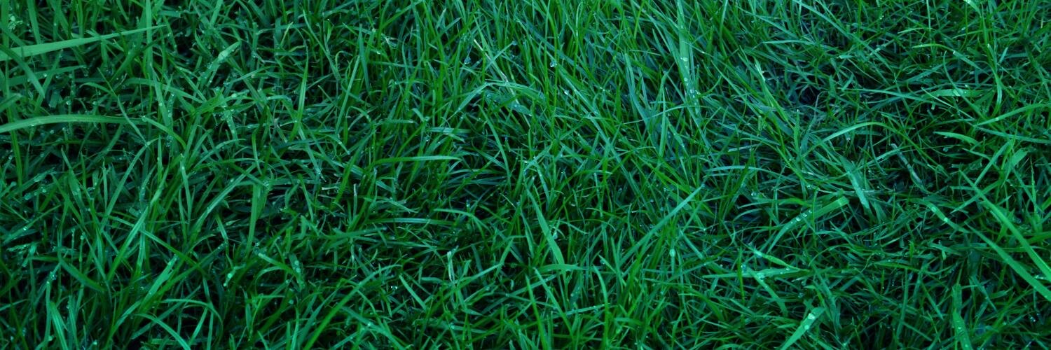 lidiantik's profile banner image
