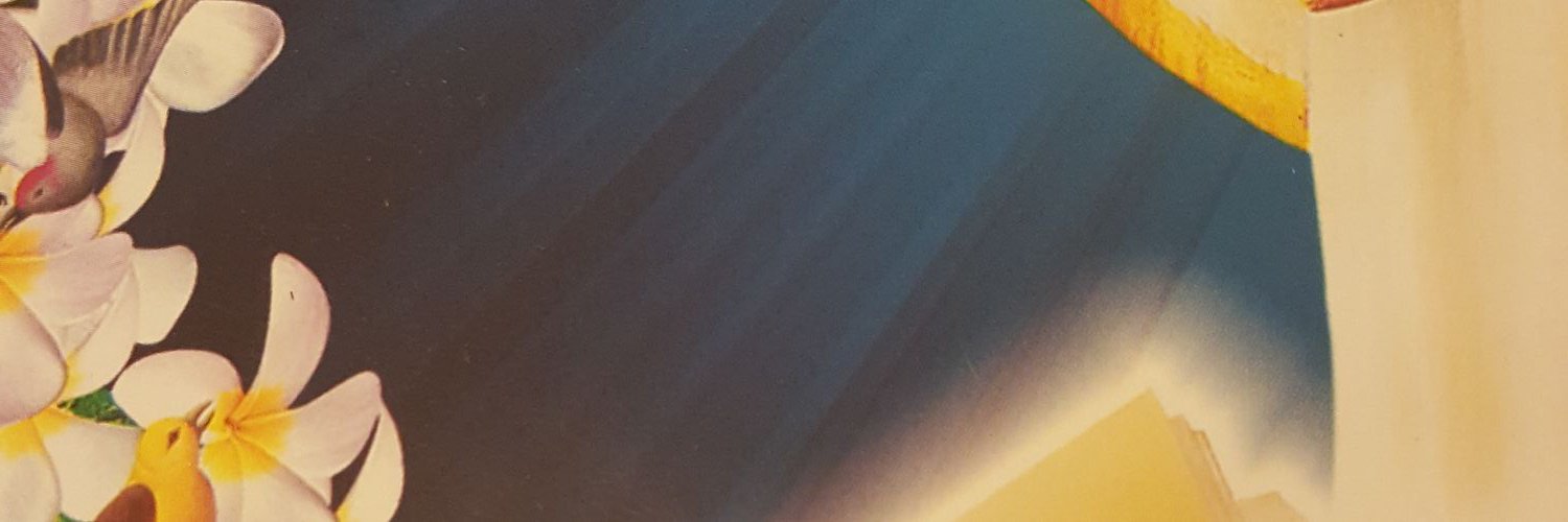 Bink_cherry's profile banner image