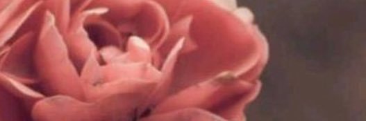 oxx0o's profile banner image