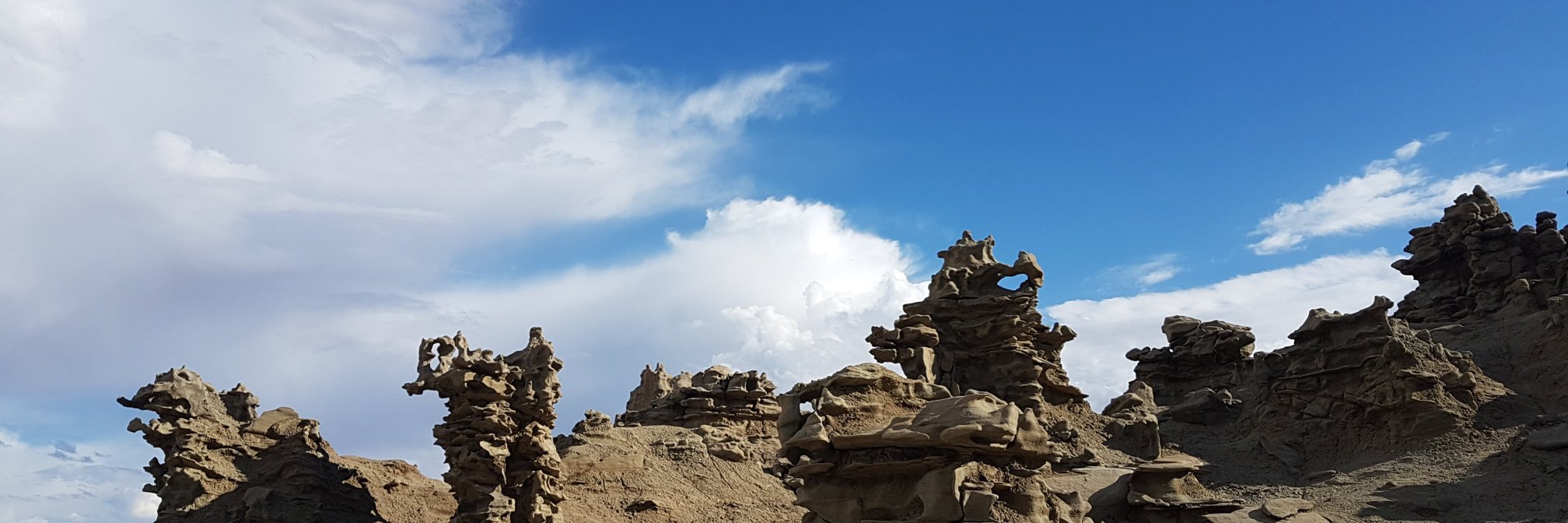 CaroTEEE's profile banner image