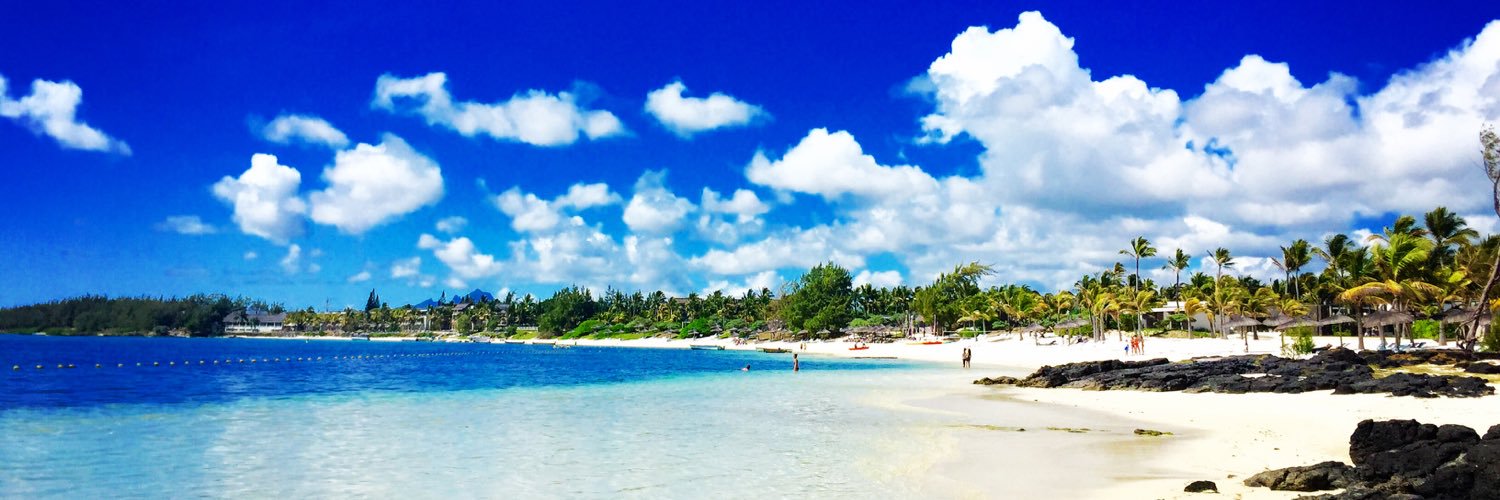 Liliana Zanellato banner