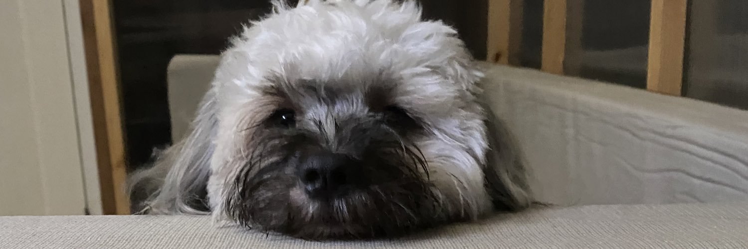 jimallarii's profile banner image