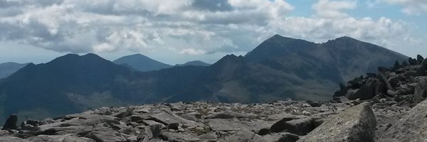 stehodgetts Profile Banner