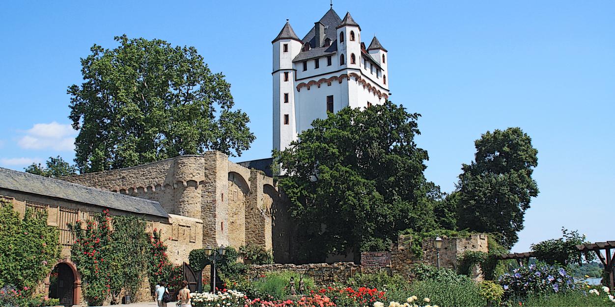 Eltville's profile banner image