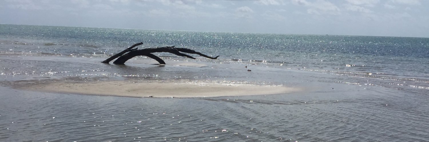 kleinkey's profile banner image