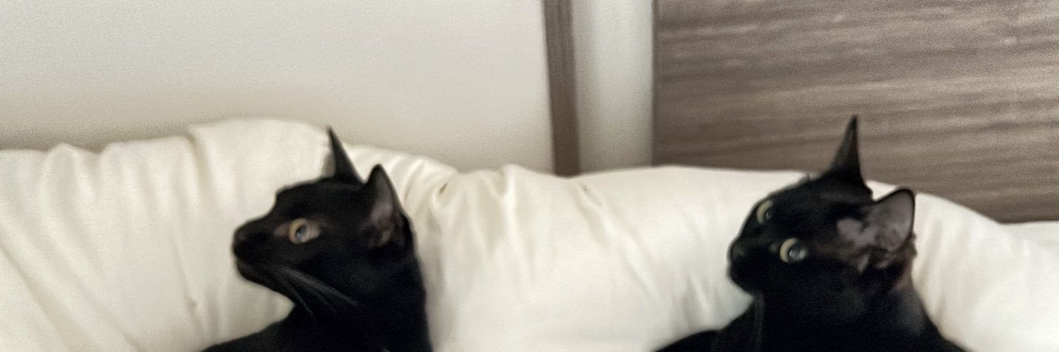 黒猫おはぎ🐈‍⬛林遊眠@劇団ショウダウン banner