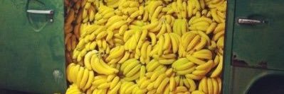 user028161427384949 banner