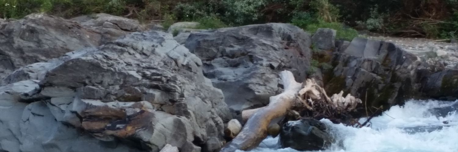 YanniWendy's profile banner image