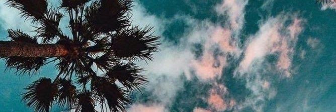 SofiBorgogno's profile banner image