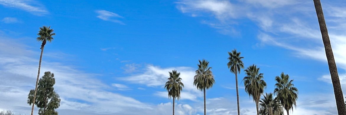 deontesales's profile banner image