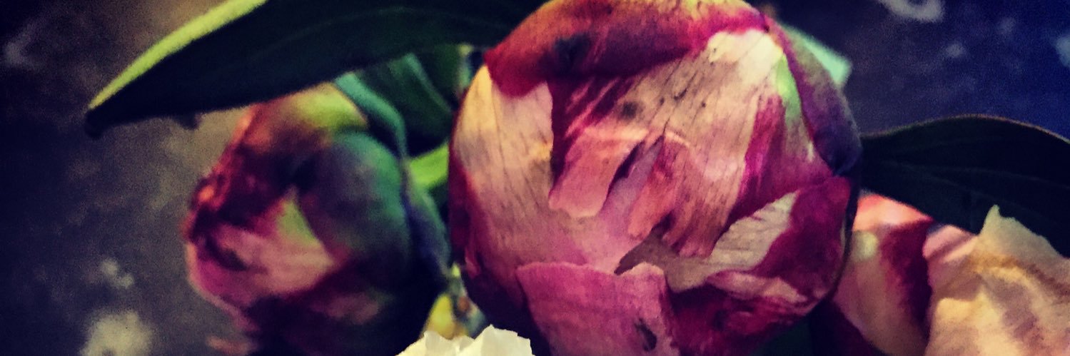 Victoria Barlow banner