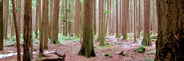 johnleewriter Profile Banner