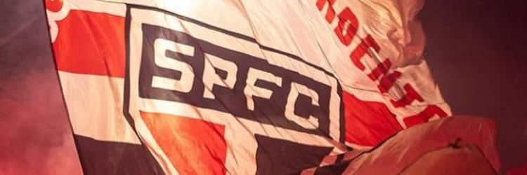 bino •᷄ ɞ •᷅ banner