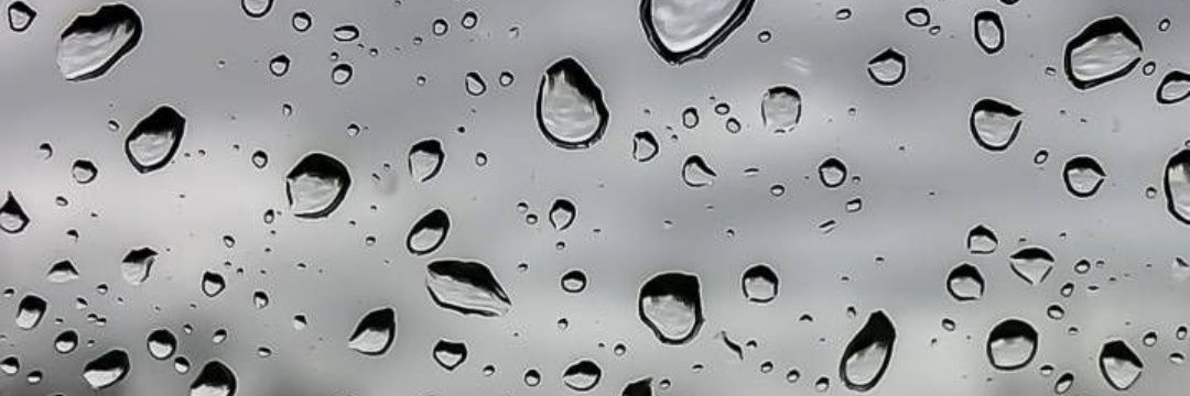 areejalgaidi's profile banner image
