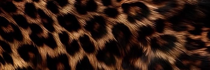 thekaimiller's profile banner image