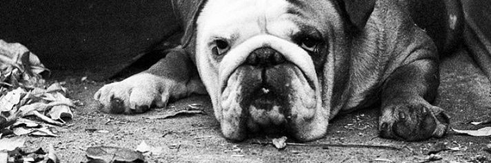 04Obregon's profile banner image