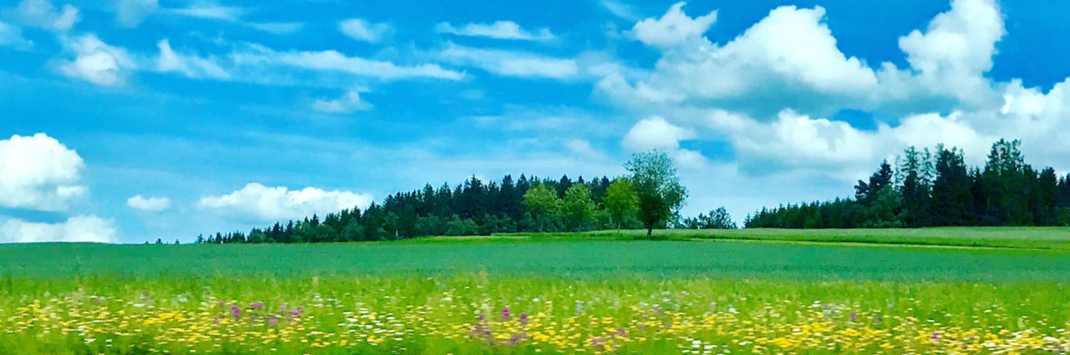 ukkyi's profile banner image