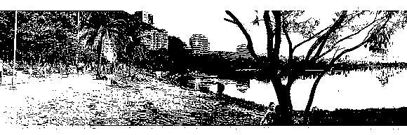 cobaia2001's profile banner image