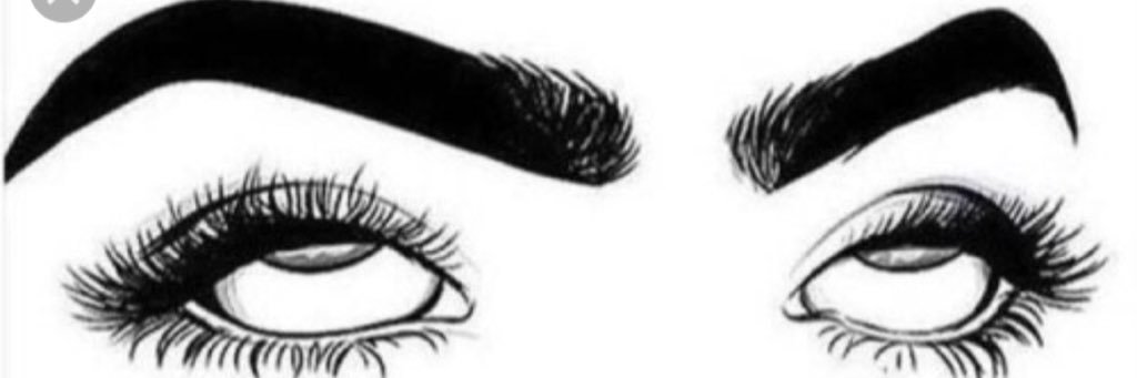 meadow_pollack's profile banner image