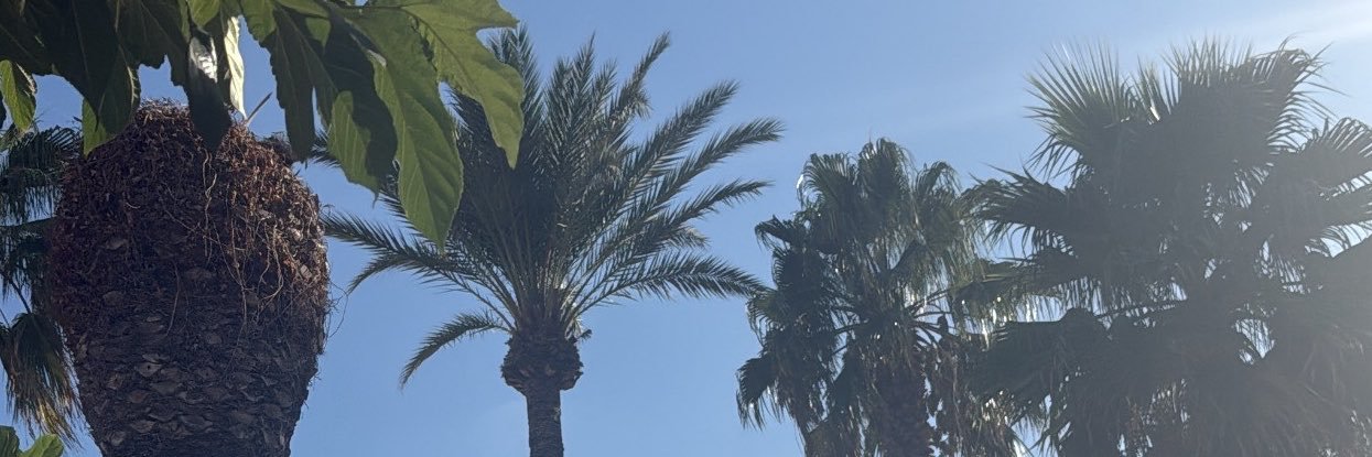 acl_713's profile banner image