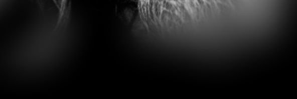 xiciity's profile banner image