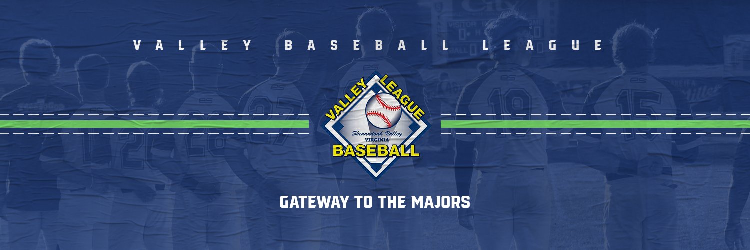 Valley Baseball League's banner