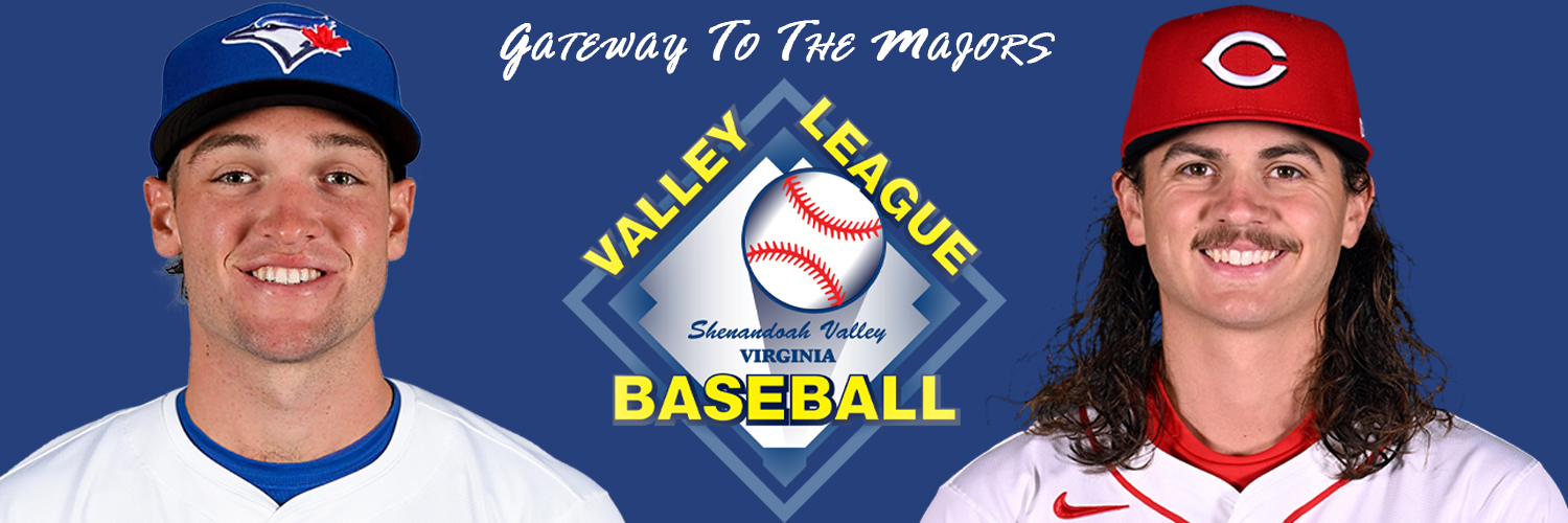 Valley Baseball League banner